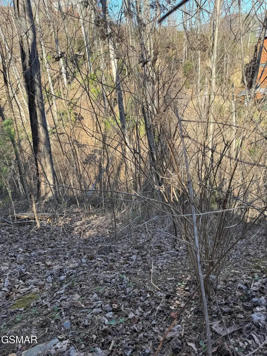 Lot 506 Crooked Ridge Road, Gatlinburg, TN 37738 - #2