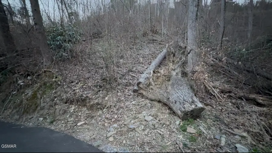 Lot 506 Crooked Ridge Road, Gatlinburg, TN 37738 - #3
