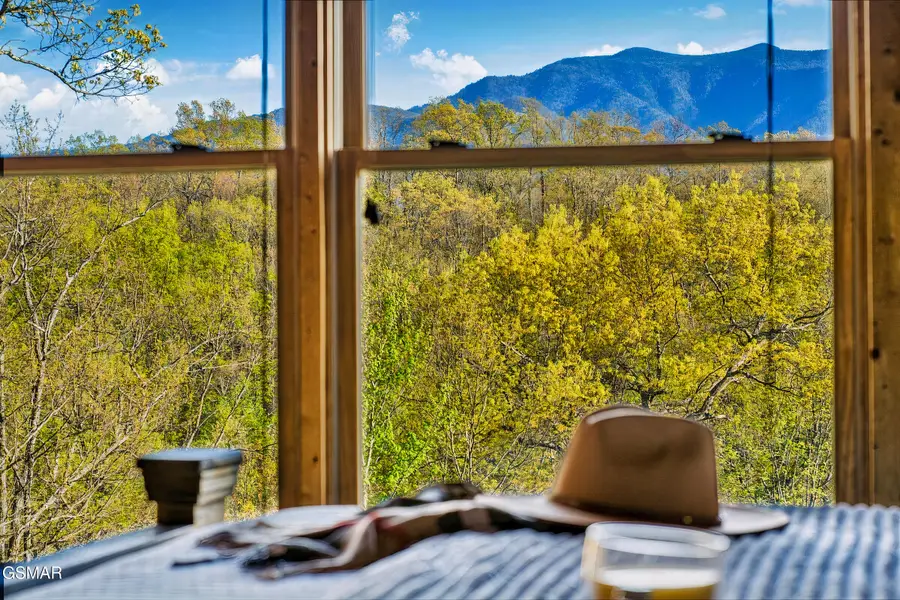 2017 Settlers Ridge Way, Gatlinburg, TN 37738 - #2