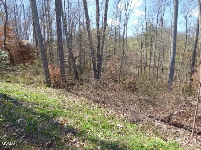Lot 23 Bridgewater Pointe Boulevard, Morristown, TN 37814 - #2