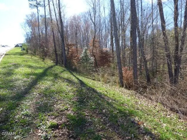 Lot 23 Bridgewater Pointe Boulevard, Morristown, TN 37814 - #3