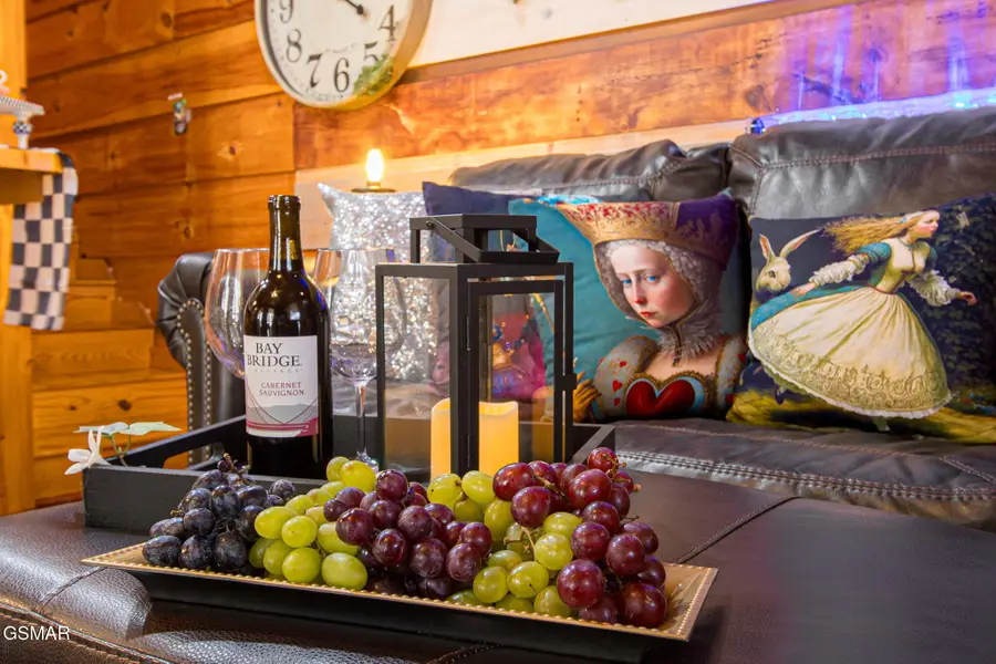 4424 & 4428 Grindstone Ridge Road, Pigeon Forge, TN 37863 - #3