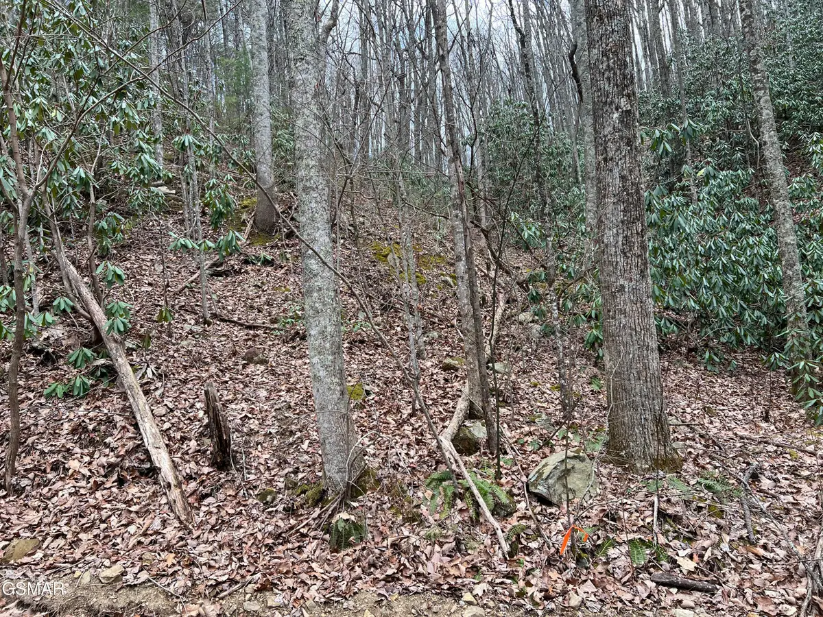 Lot 10 John Sevier Drive, Sevierville, TN 37876 - #1