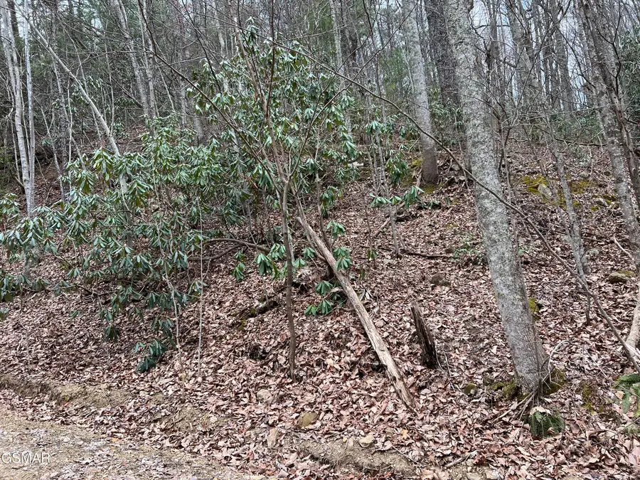 Lot 10 John Sevier Drive, Sevierville, TN 37876 - #2
