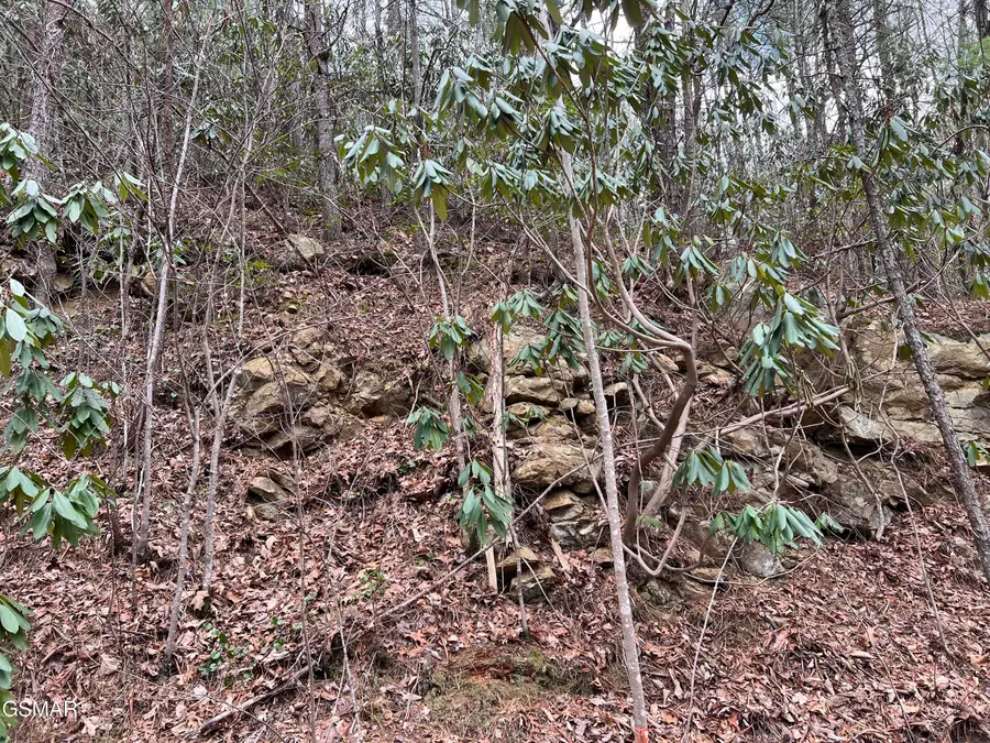 Lot 10 John Sevier Drive, Sevierville, TN 37876 - #3