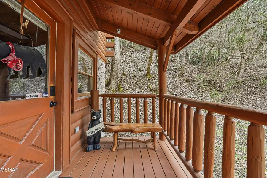 331 Caney Creek Road, Pigeon Forge, TN 37863 - #2