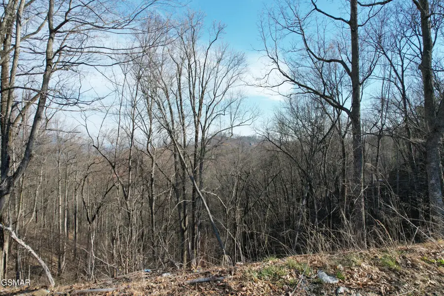 Lot 2B Spurling Way, Sevierville, TN 37862 - #3