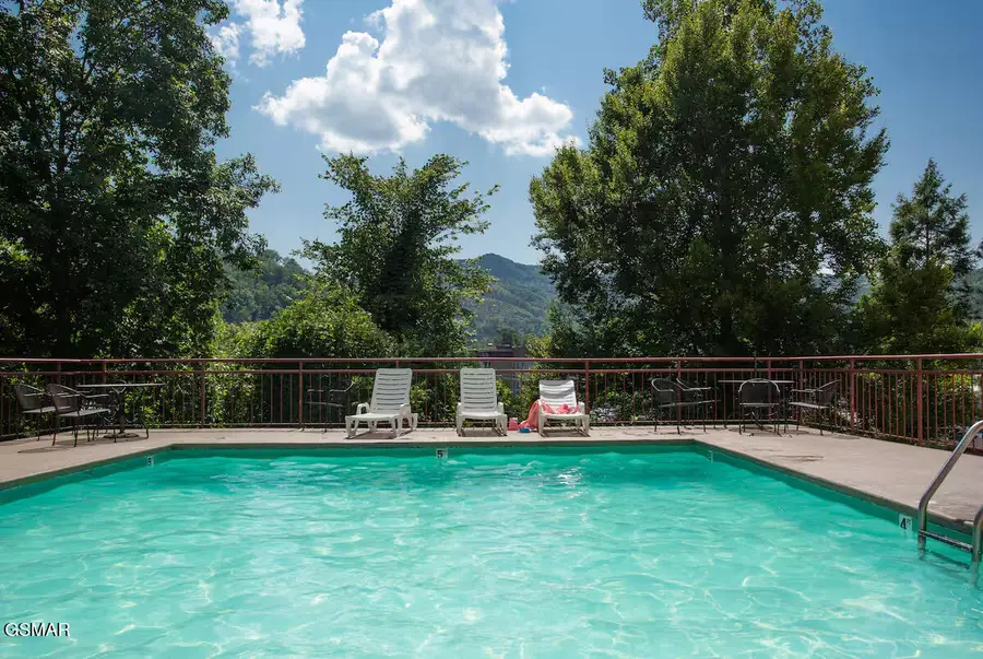 354 E Holly Ridge Road #UNIT 204, Gatlinburg, TN 37738 - #3