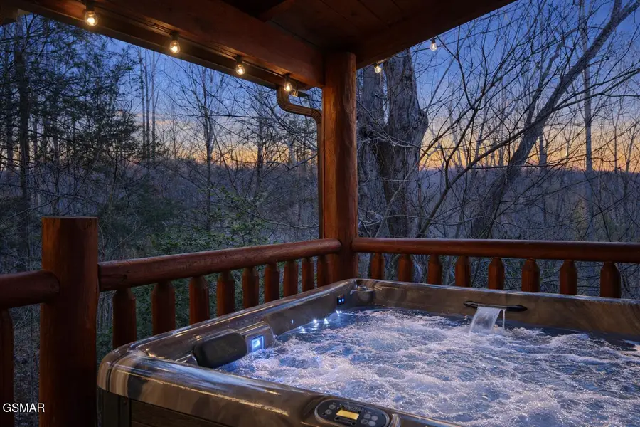 225 Maranatha Way, Cosby, TN 37722 - #3