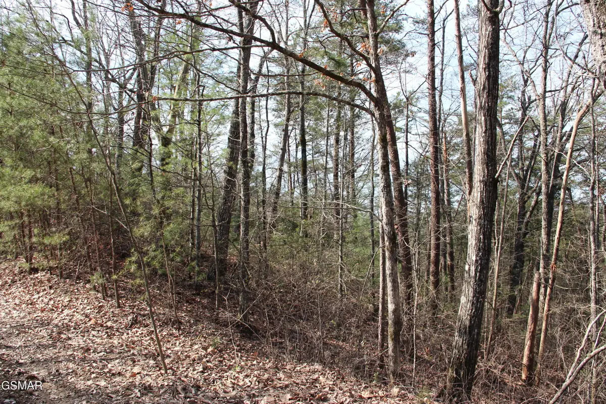 lot 19 Ridge View Drive, Sevierville, TN 37876 - #1