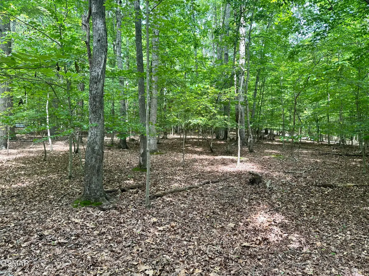 Tract 8 Woods Ridge Road, Dandridge, TN 37725 - #1