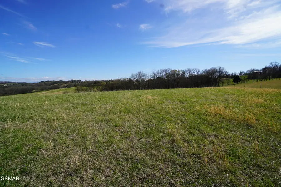 Pt of 044 Redwing Lane, New Market, TN 37820 - #2