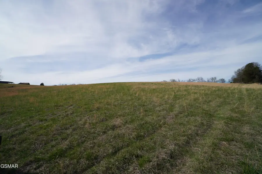 Pt of 044 Redwing Lane, New Market, TN 37820 - #3
