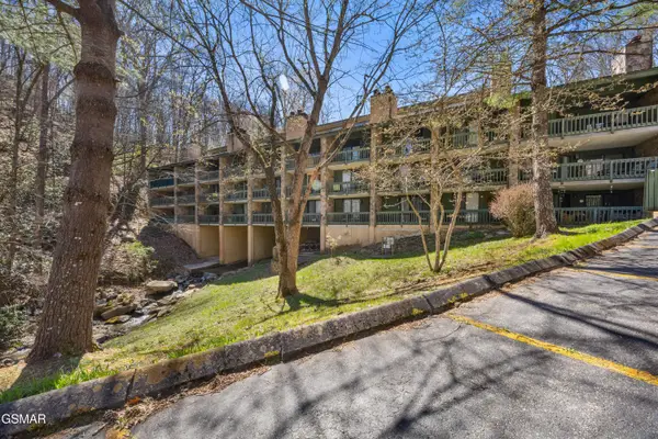 1435 Wiley Oakley Drive #173, Gatlinburg, TN 37738