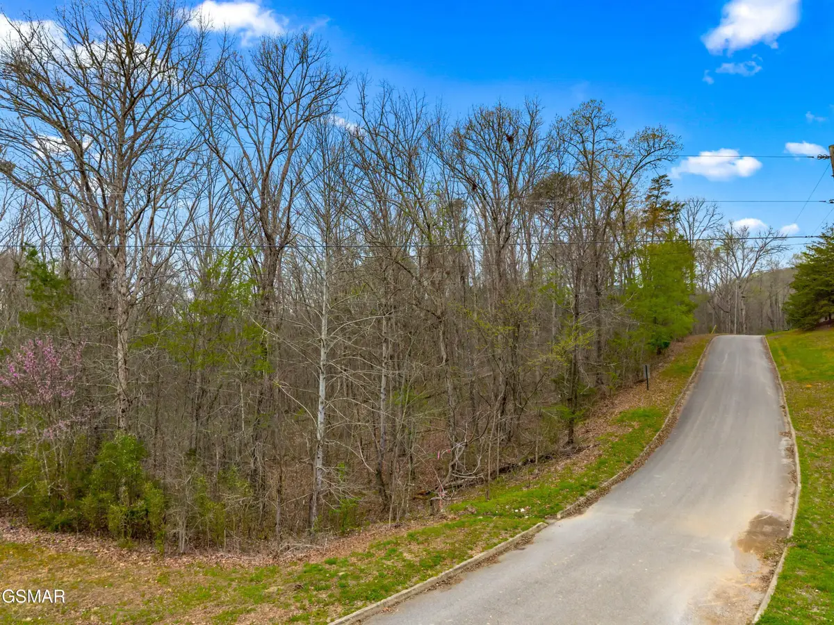Lot 107 Turtle Dove Trail, Dandridge, TN 37725 - #1
