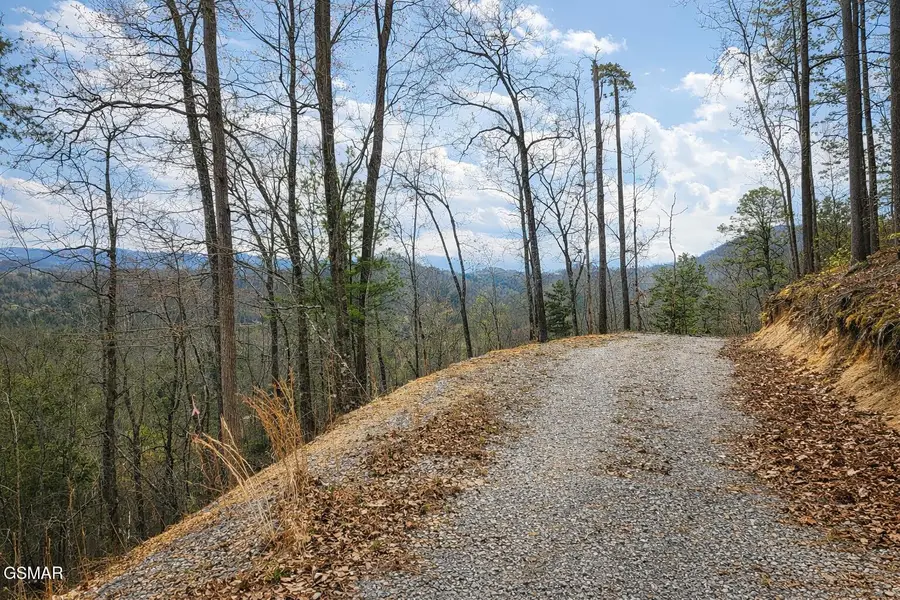 Tr1-B Sulpher Springs Way, Sevierville, TN 37876 - #2