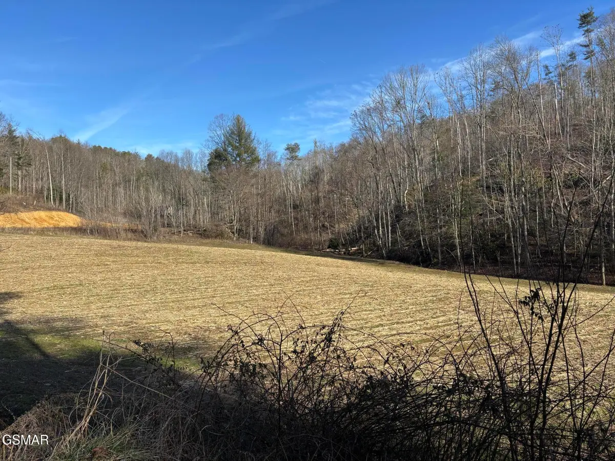 Tract 2 Bull Mountain Road, Del Rio, TN 37727 - #1