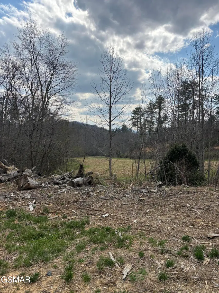 Tract 2 Bull Mountain Road, Del Rio, TN 37727 - #2