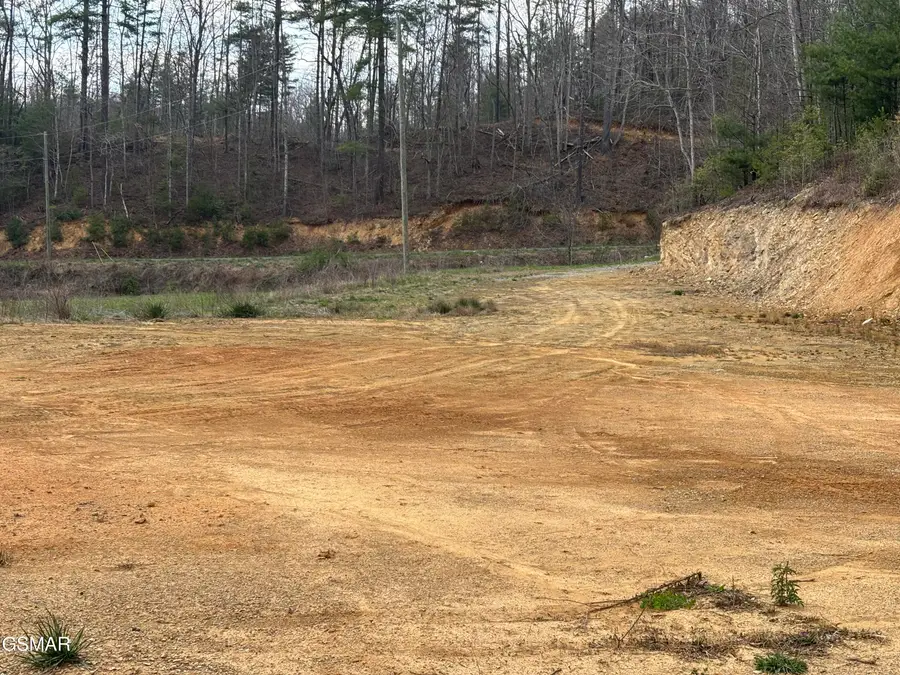 Tract 2 Bull Mountain Road, Del Rio, TN 37727 - #3
