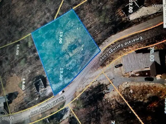 3221 Emerald Springs Loop, Sevierville, TN 37862 - #3