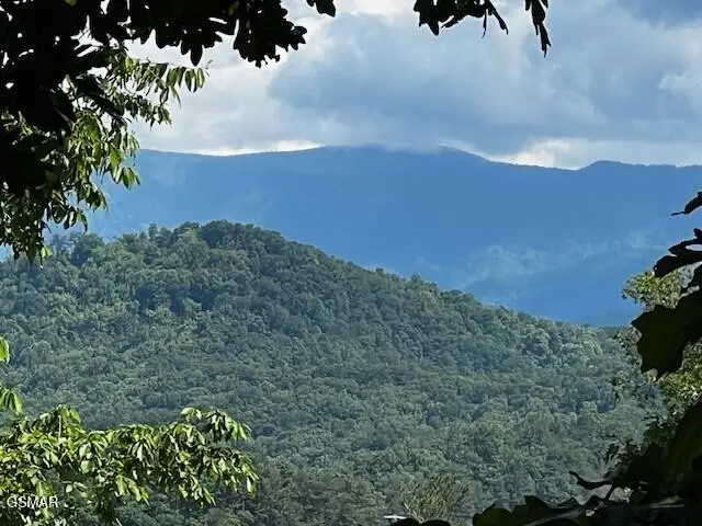 - Chinquapin Drive, Sevierville, TN 37862 - #1