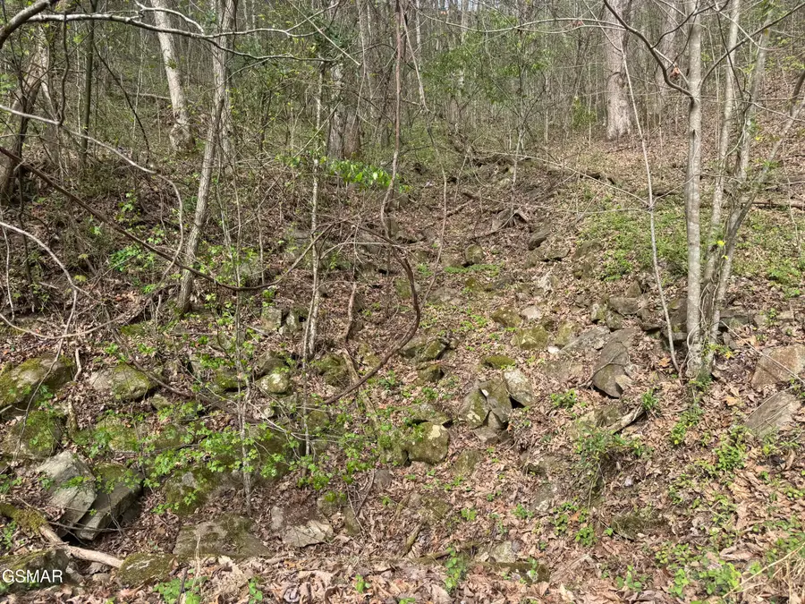 Lot 12 Whetstone Road, Sevierville, TN 37862 - #2