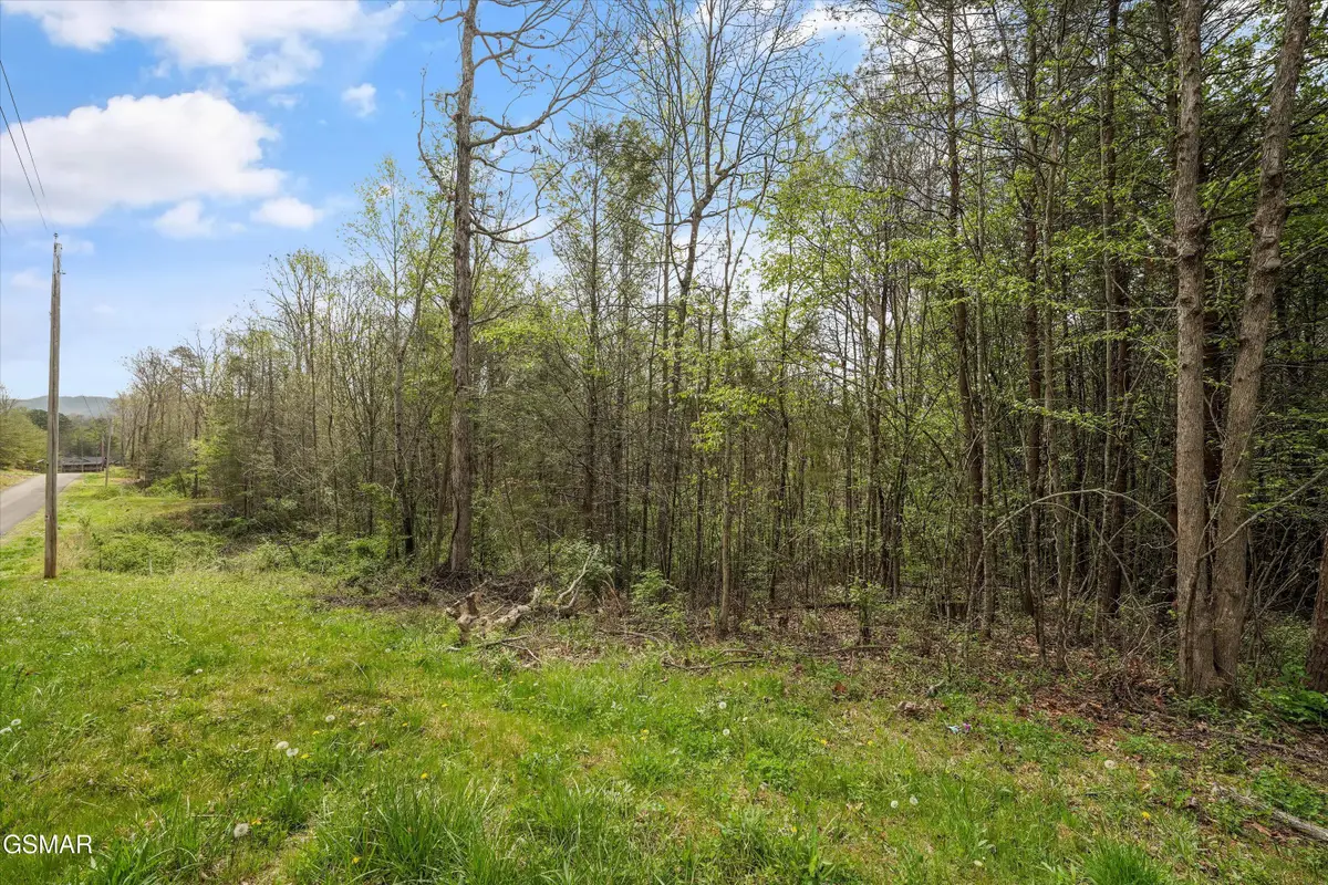 1433 Timber Trail, Newport, TN 37821 - #1