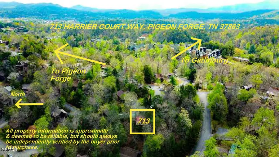 713 Harrier Court Way, Pigeon Forge, TN 37863 - #2