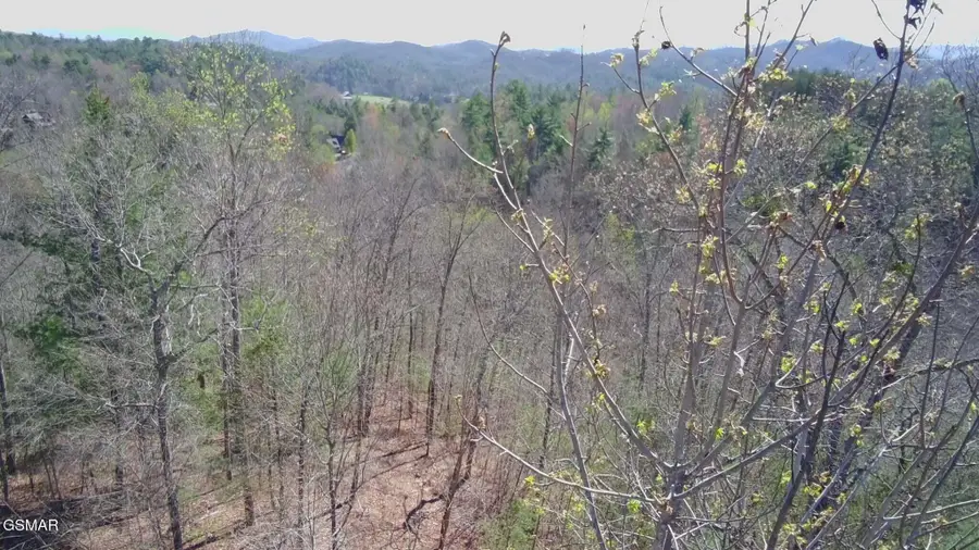 Lot 42 Cedar Falls Way, Sevierville, TN 37862 - #2