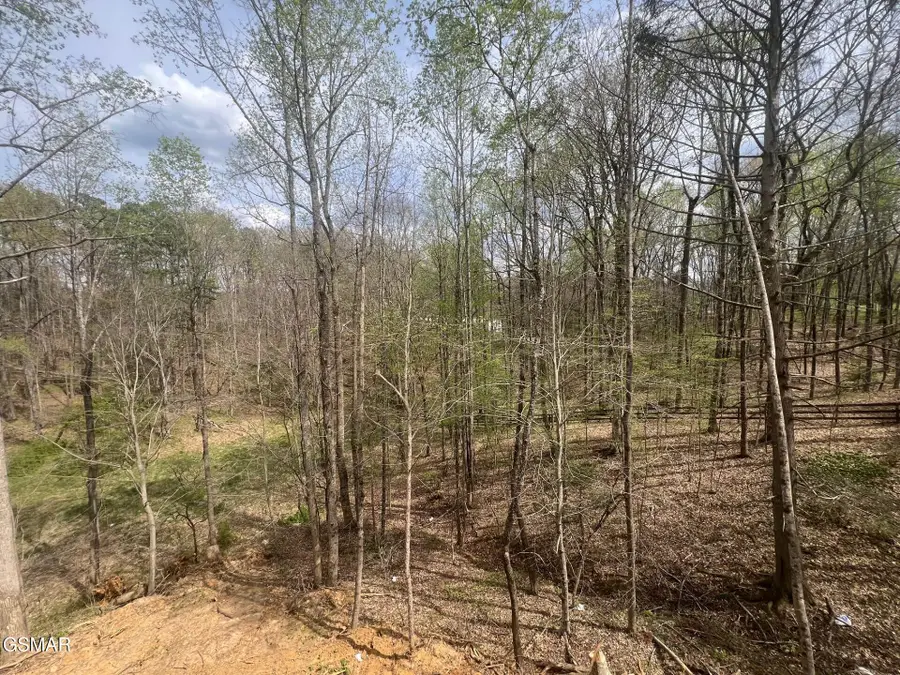 2427 Iron Forge Way, Sevierville, TN 37876 - #2