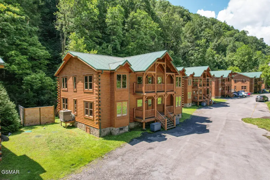 307 Caney Creek Road, Pigeon Forge, TN 37863 - #2