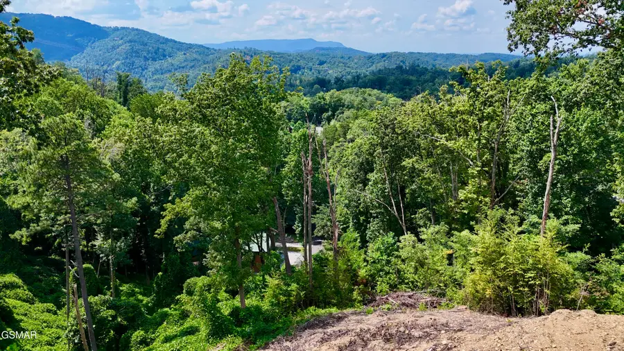 1119 E Kings Ridge Road, Gatlinburg, TN 37738 - #2