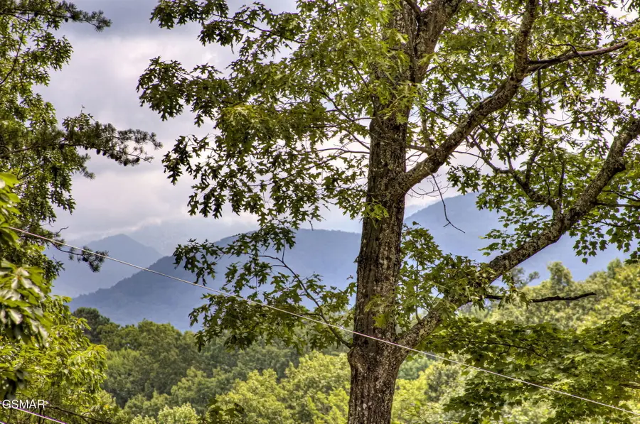 1125 Tanrac Trail, Gatlinburg, TN 37738 - #3