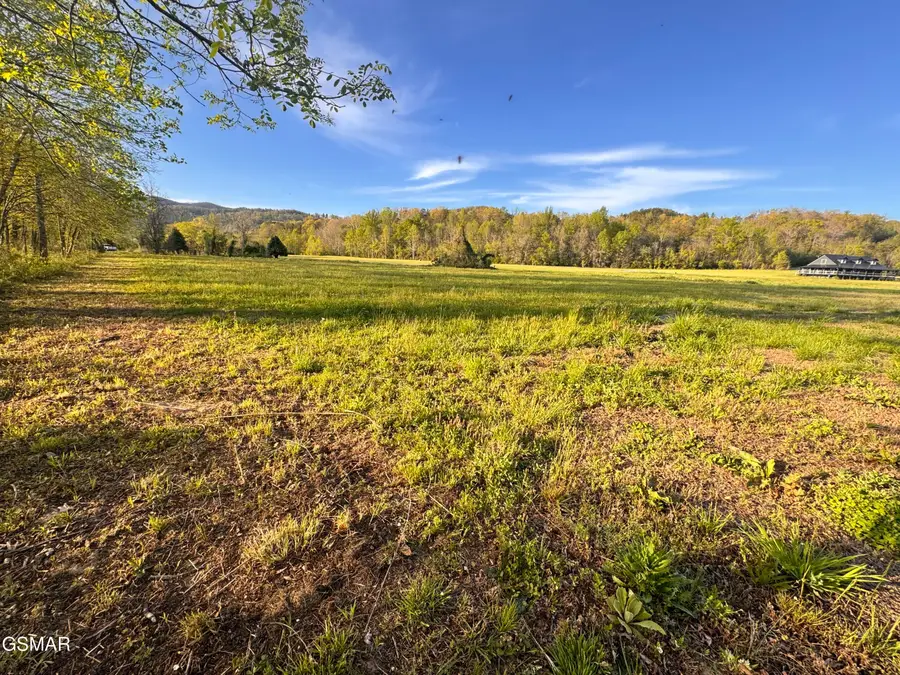 Lot 35R River Rapids Way, Del Rio, TN 37727 - #2