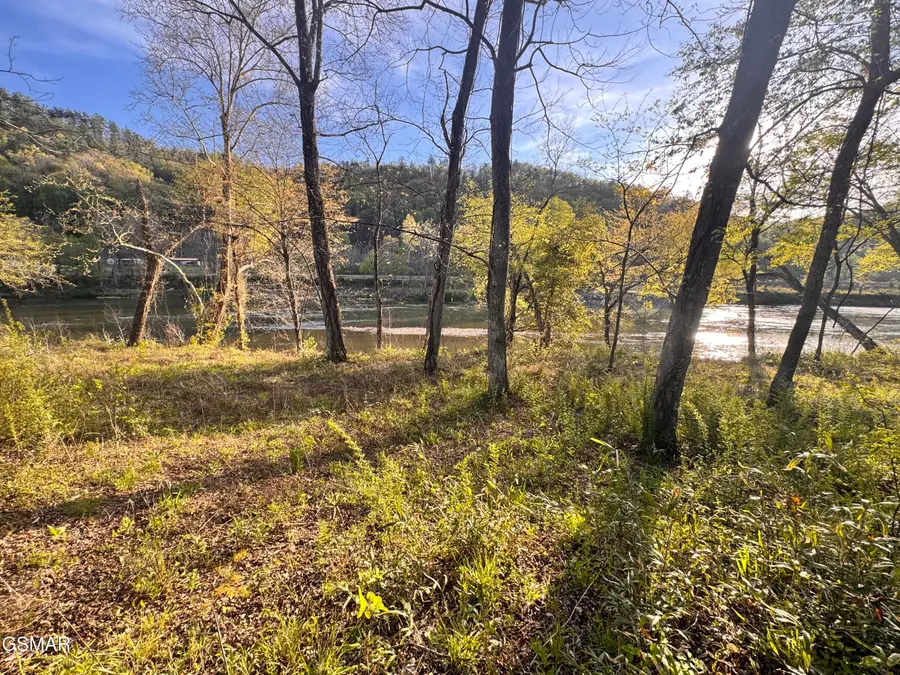 Lot 35R River Rapids Way, Del Rio, TN 37727 - #3