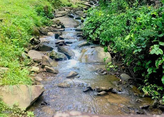 1228 Ski Mountain Road #C1, Gatlinburg, TN 37738 - #3