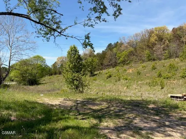 Lot 2 Old Newport Highway, Sevierville, TN 37876 - #1