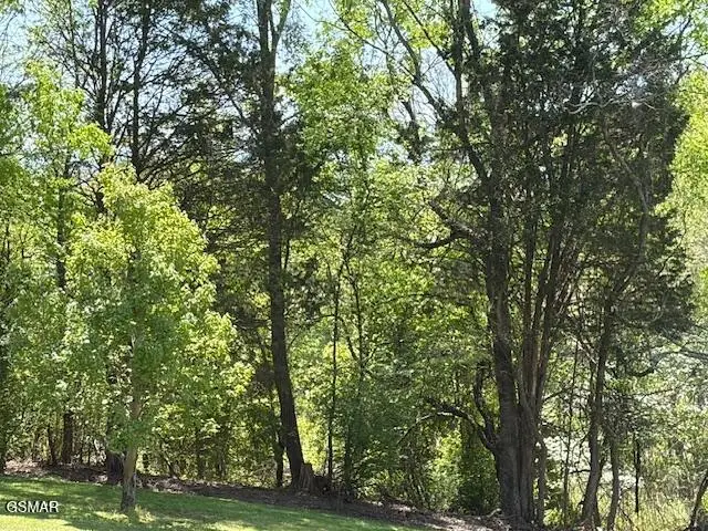 Lot 2 Old Newport Highway, Sevierville, TN 37876 - #2