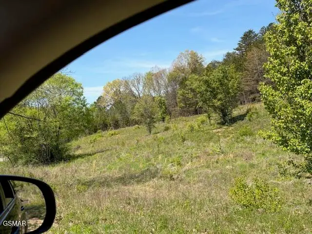 Lot 2 Old Newport Highway, Sevierville, TN 37876 - #3