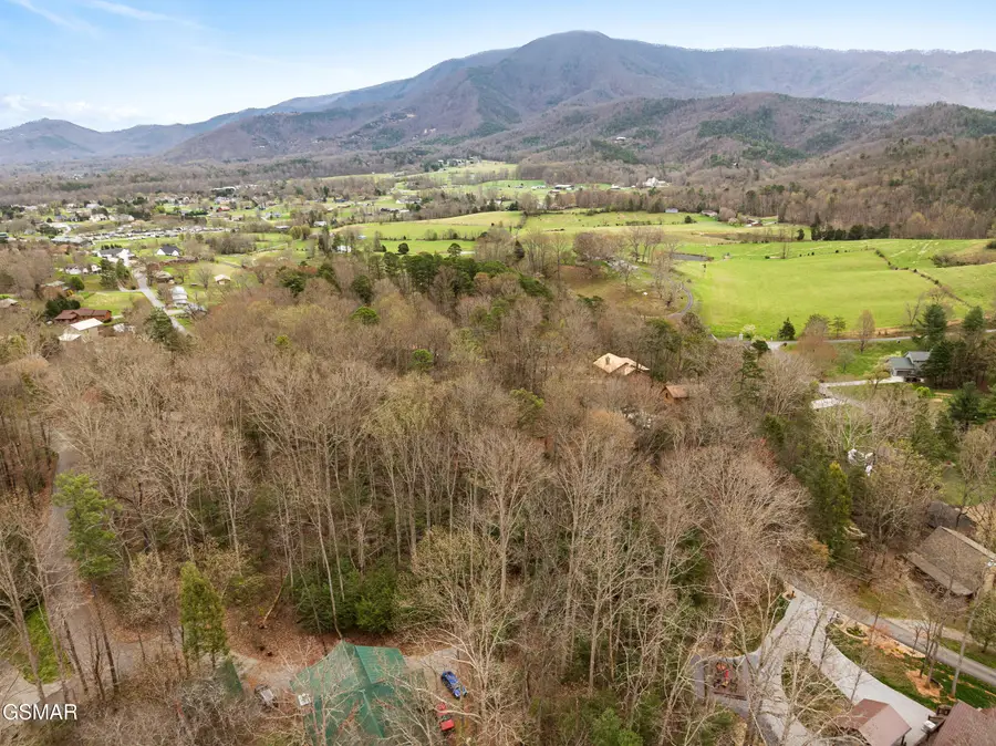 3840 Saddle Brook Way, Sevierville, TN 37862 - #3