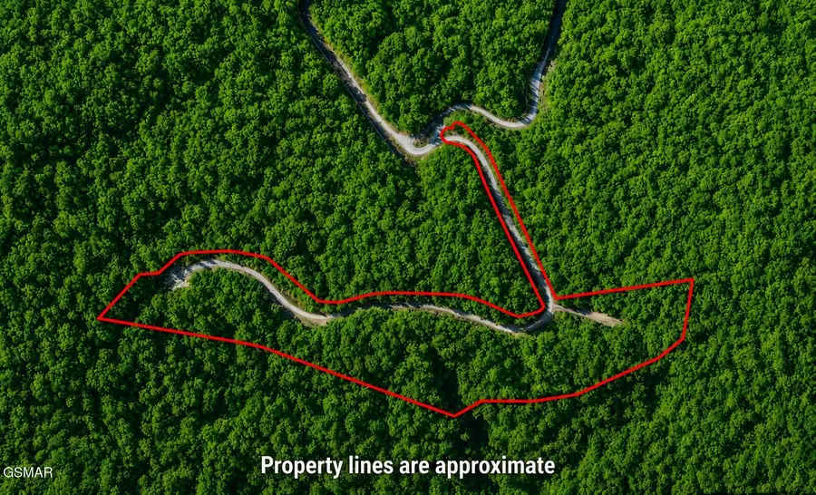 Lot 41 Black Maple Way, Del Rio, TN 37727 - #2