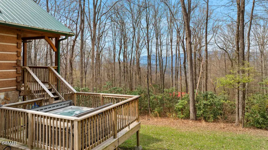 3393 Grand Country Drive, Cosby, TN 37722 - #2