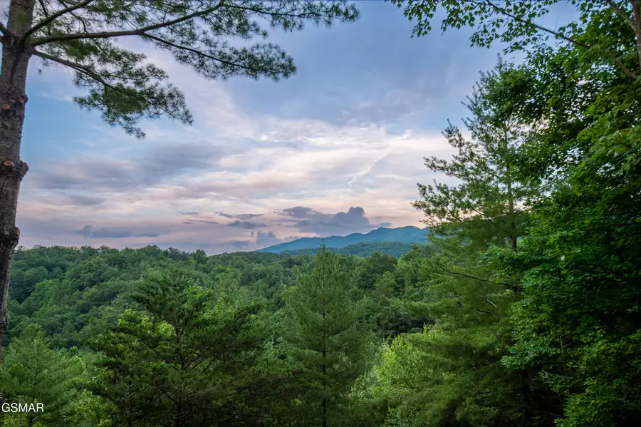 4186 Evans Chapel Road, Sevierville, TN 37876 - #3