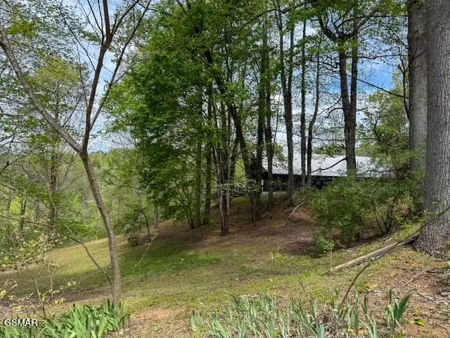 1421 Silver Poplar Lane, Sevierville, TN 37876 - #2