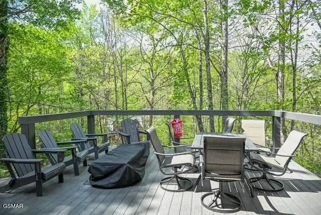 1421 Silver Poplar Lane, Sevierville, TN 37876 - #3