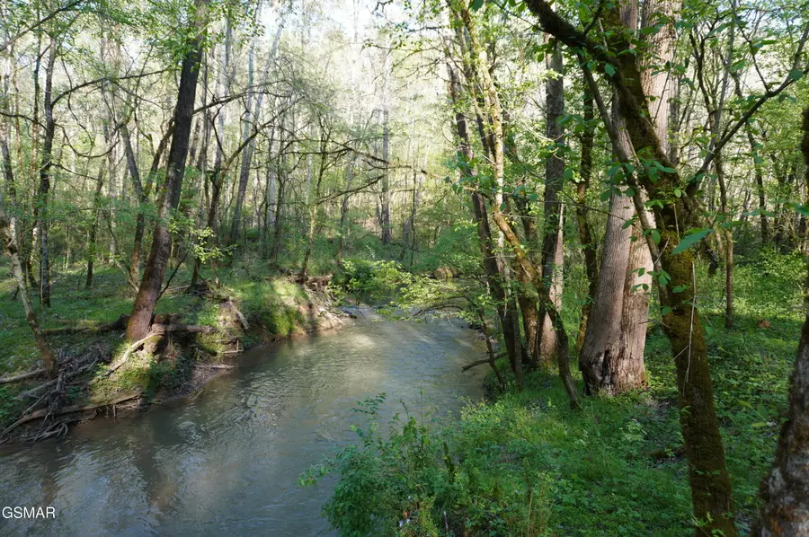 Lots 1-2 Golf Course Road, Newport, TN 37821 - #3