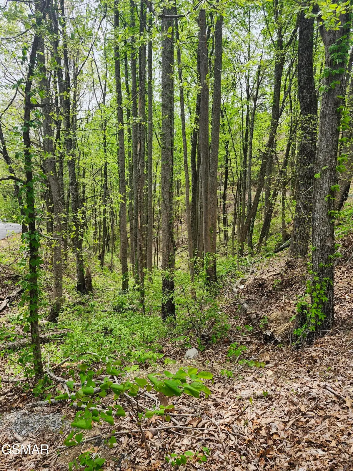 Lot 1 Hatcher Mtn Road, Sevierville, TN 37862 - #1
