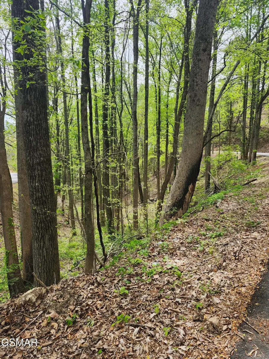 Lot 1 Hatcher Mtn Road, Sevierville, TN 37862 - #3