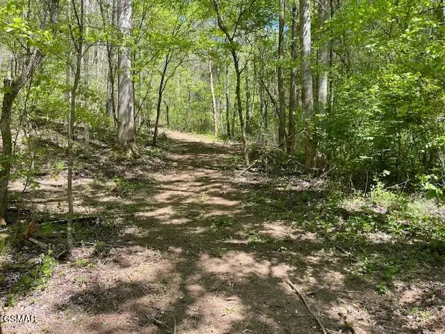 - Jason Pl / Jones Cove Rd -off, Sevierville, TN 37876 - #1