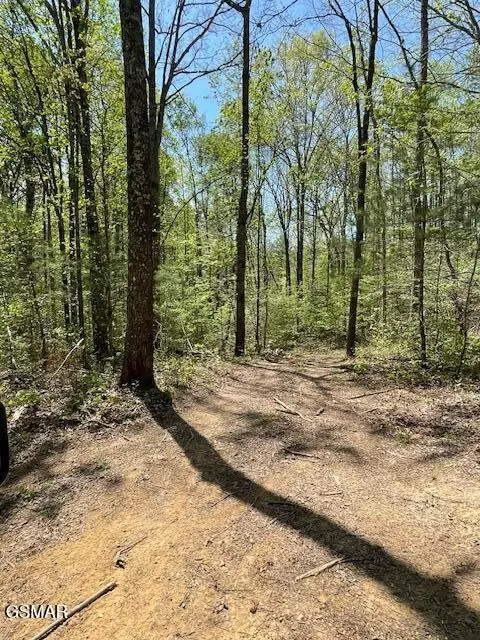 - Jason Pl / Jones Cove Rd -off, Sevierville, TN 37876 - #2